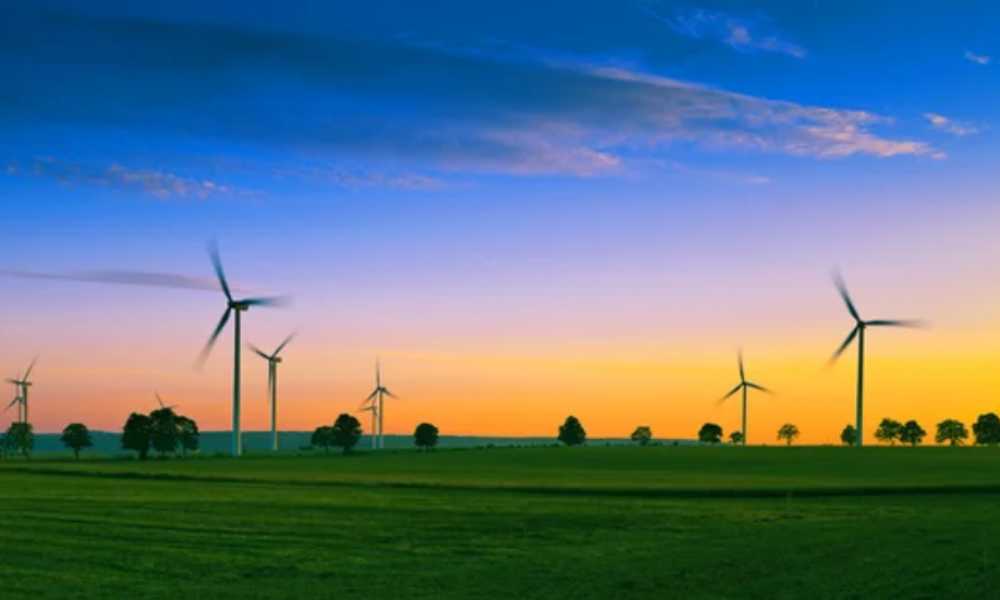 WIndmills in a green field