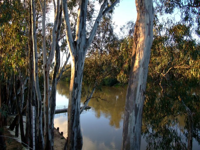 how-well-are-we-apadpting-australia-144600_1920-680x510.jpg