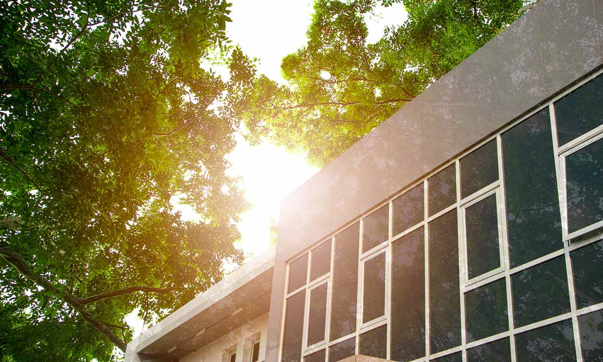 urban-forestry-for-heatwave-protection-1220x732.jpg