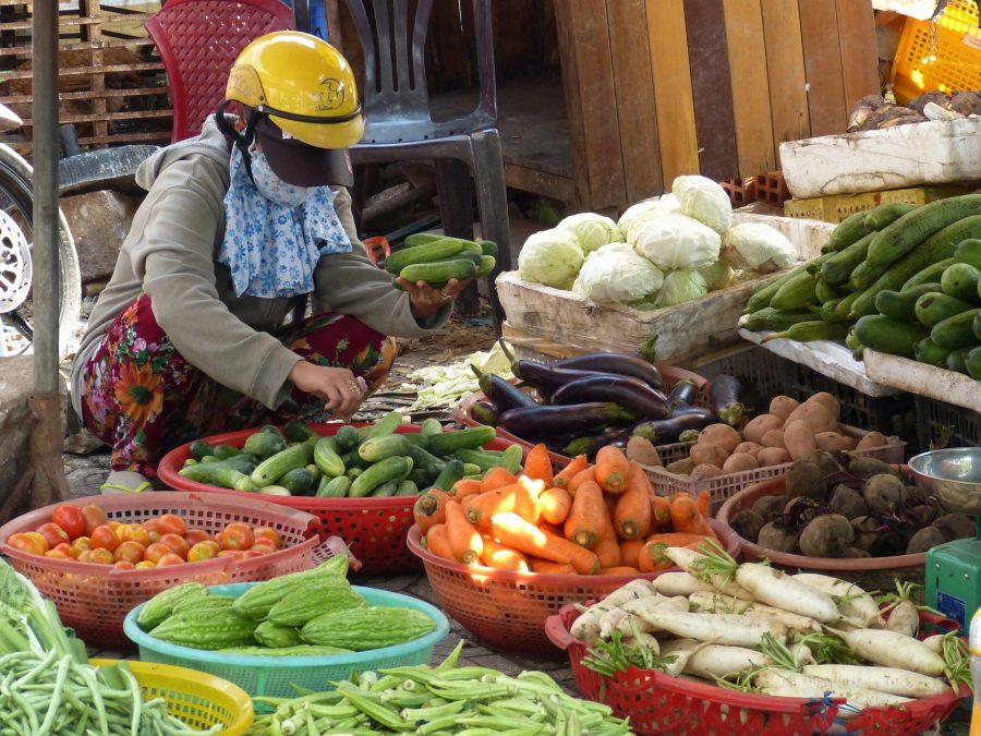 a street vendor squatting next to a number of baskets holding colourful vegetables at a market in Vietnam.