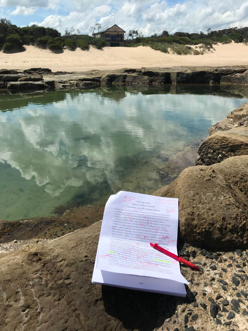 Essay at the Bay.jpg