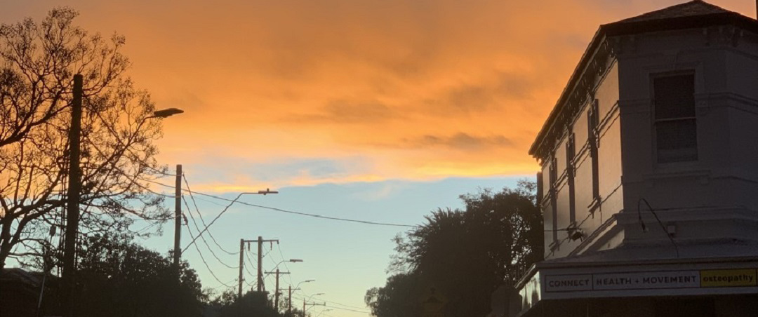 Streetscape_Peta Murray.jpg