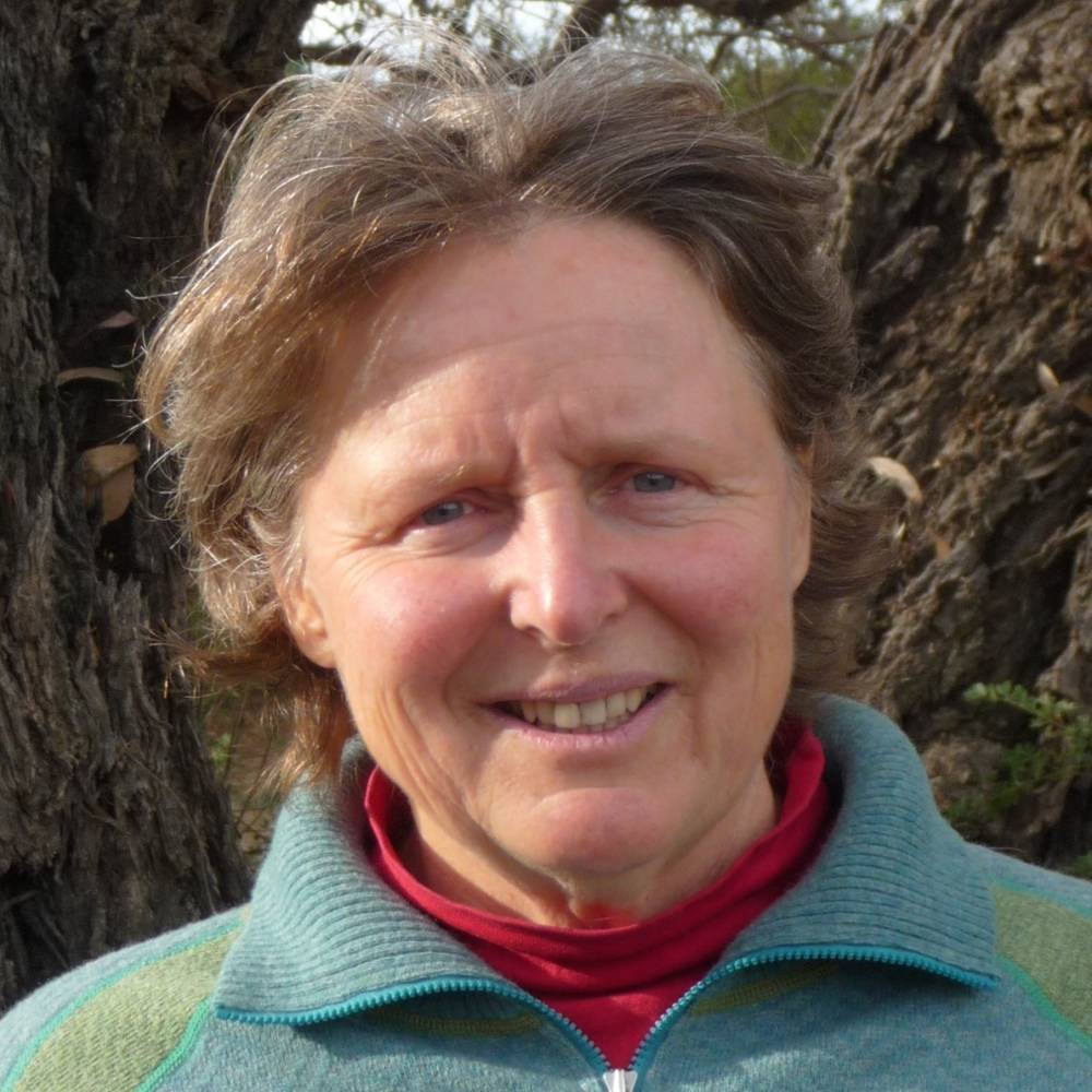 Image of Deb Wardle. 