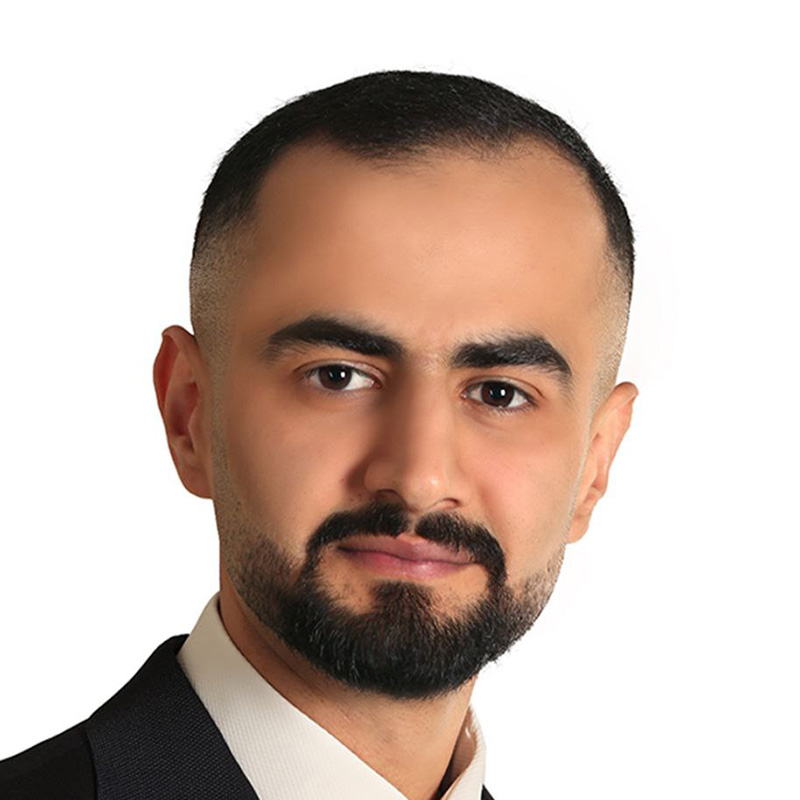 Portrait of Mohammadreza Najafza.