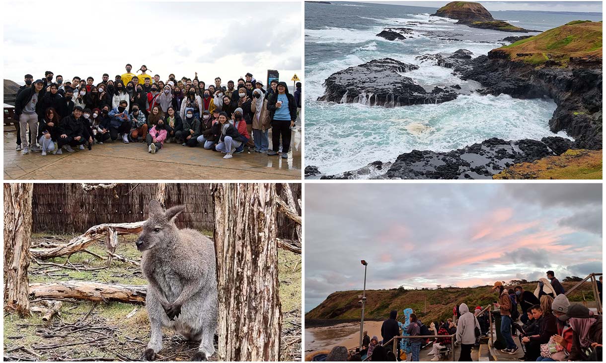 RUMA experience photo collage