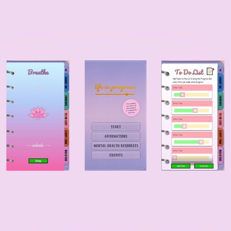 Examples of pages from the Life in Progress project.