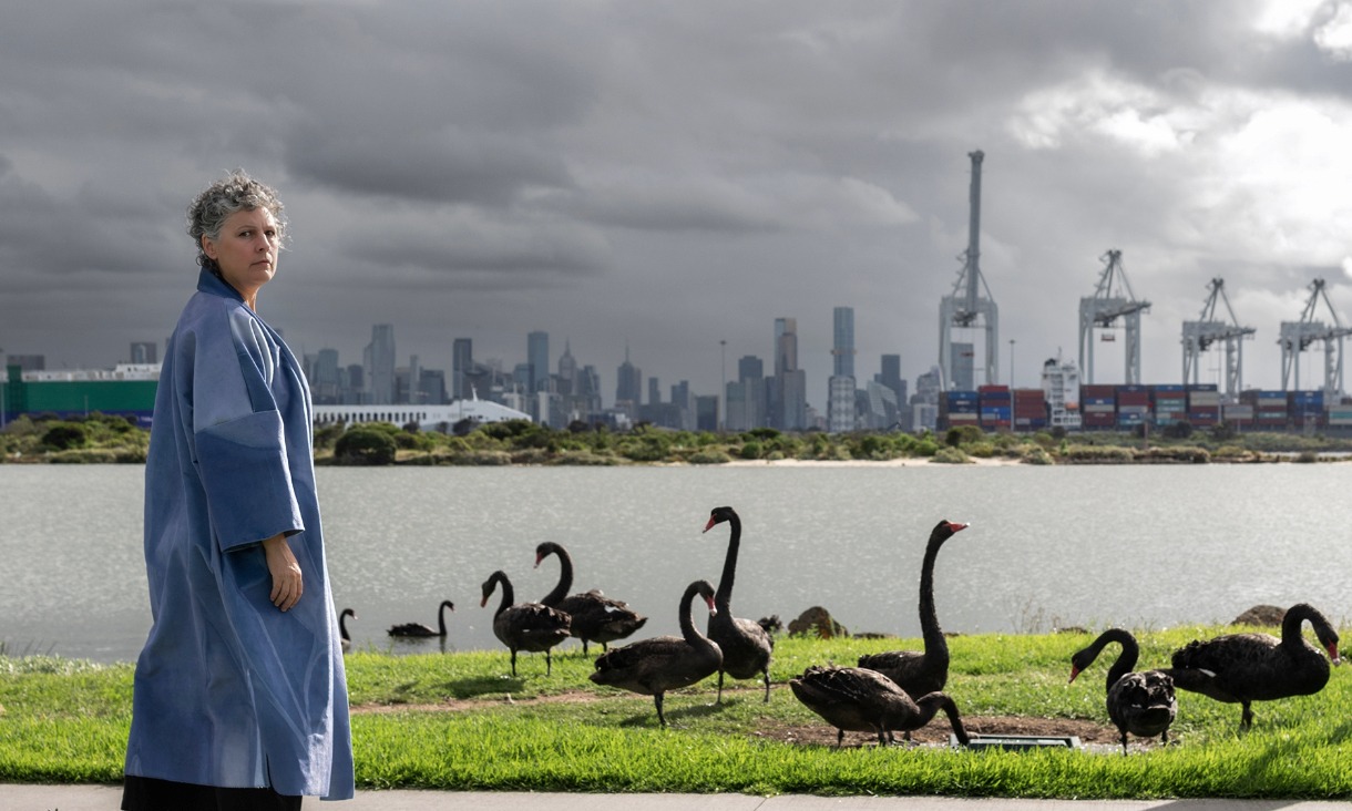 Woman dressed in blue looking back t camera while surrounded by Black swans in front of lake.