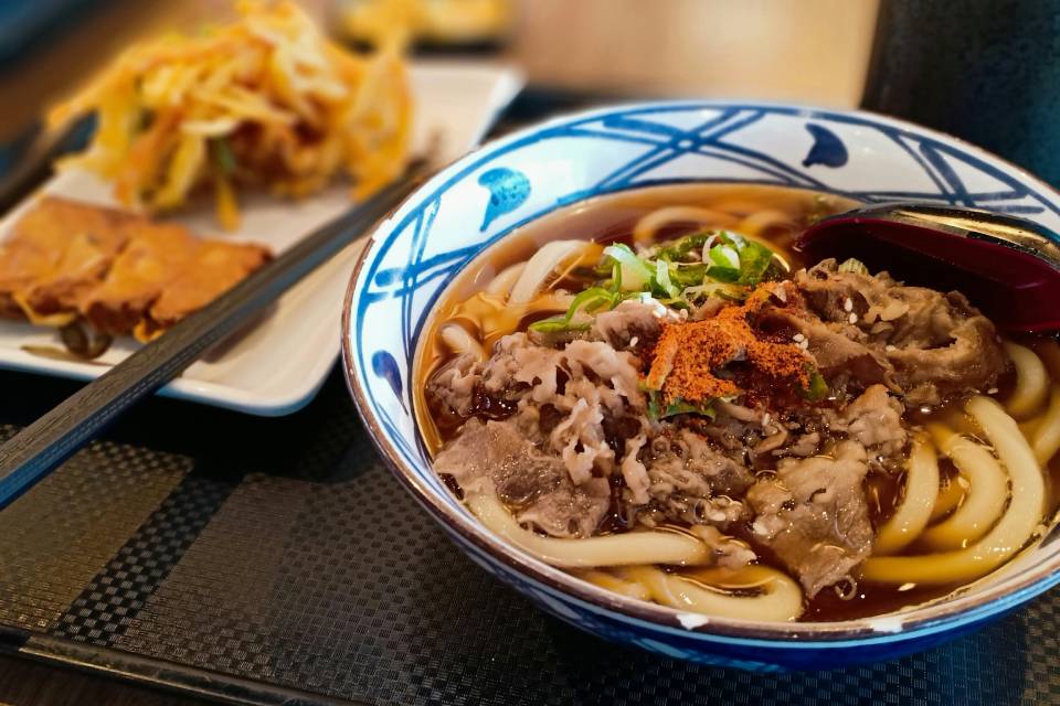 Bowl of Japanese udon noodle soup