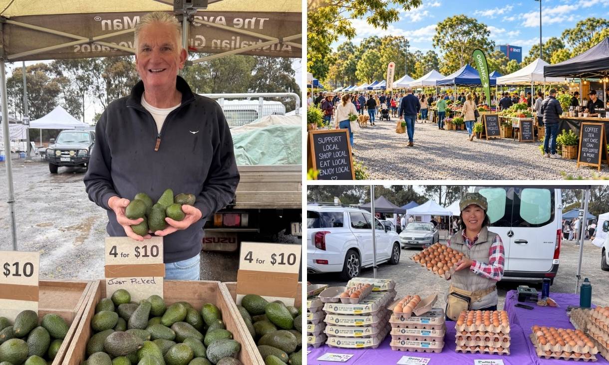 Collage of community market with fresh produce