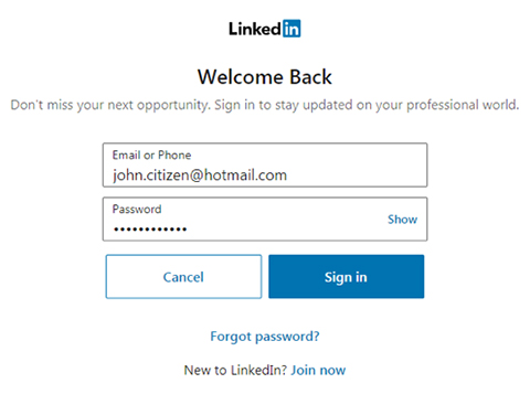 LinkedIn Email