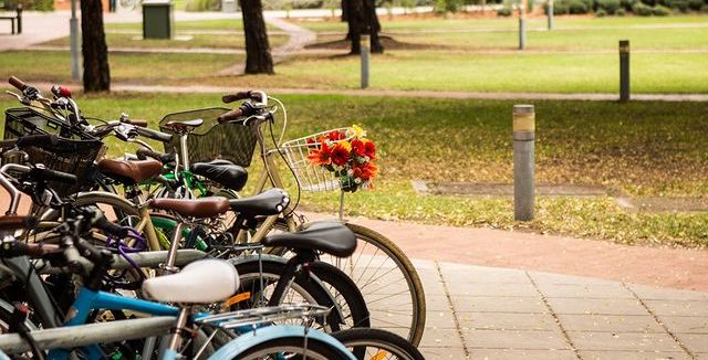 Bikes parked on an RMIT campus.