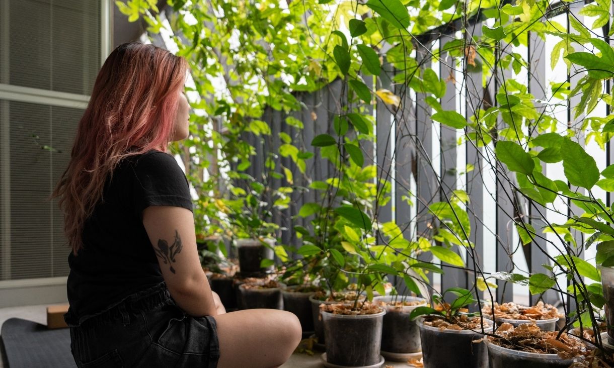 Person sitting amongst vines on balcony