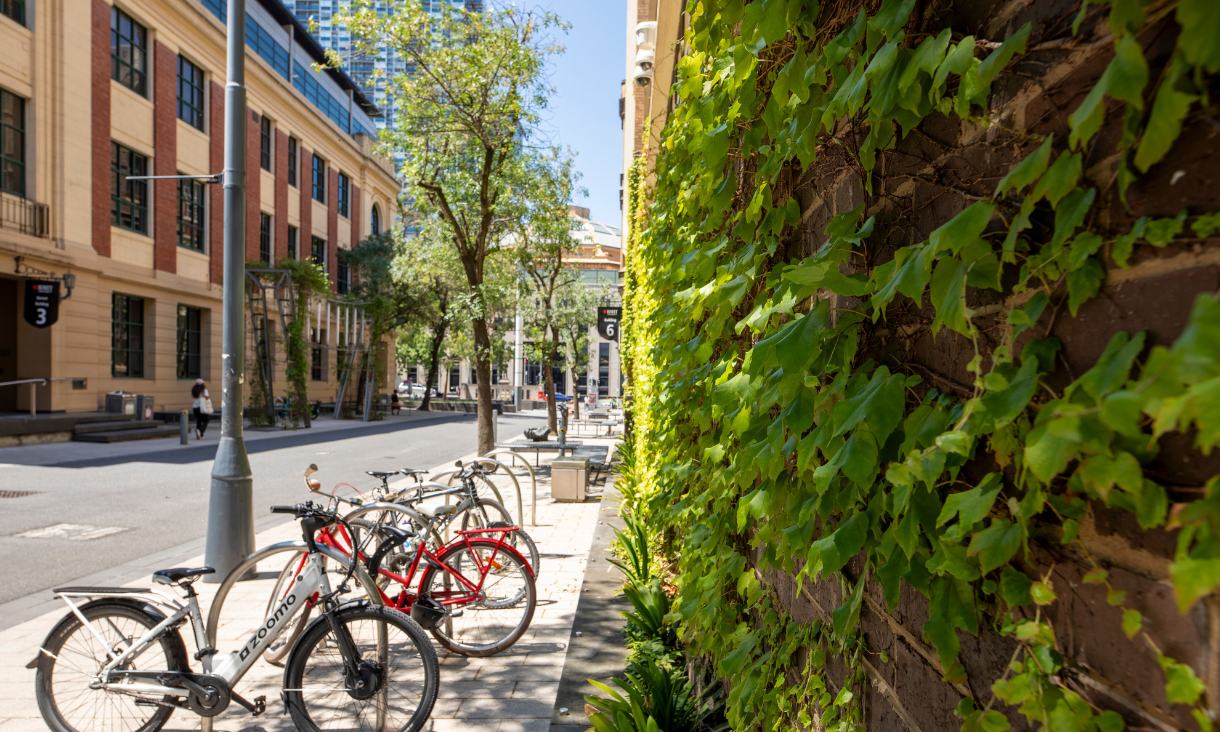 Bikes parked beside an ivy-covered wall at RMIT's City campus.