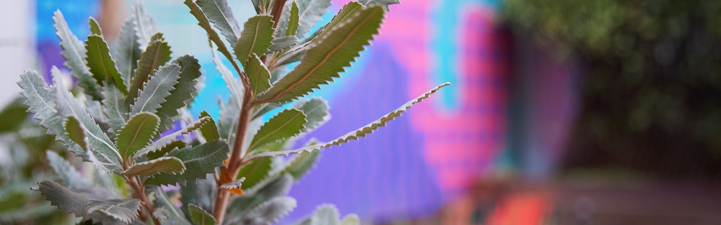 event header image