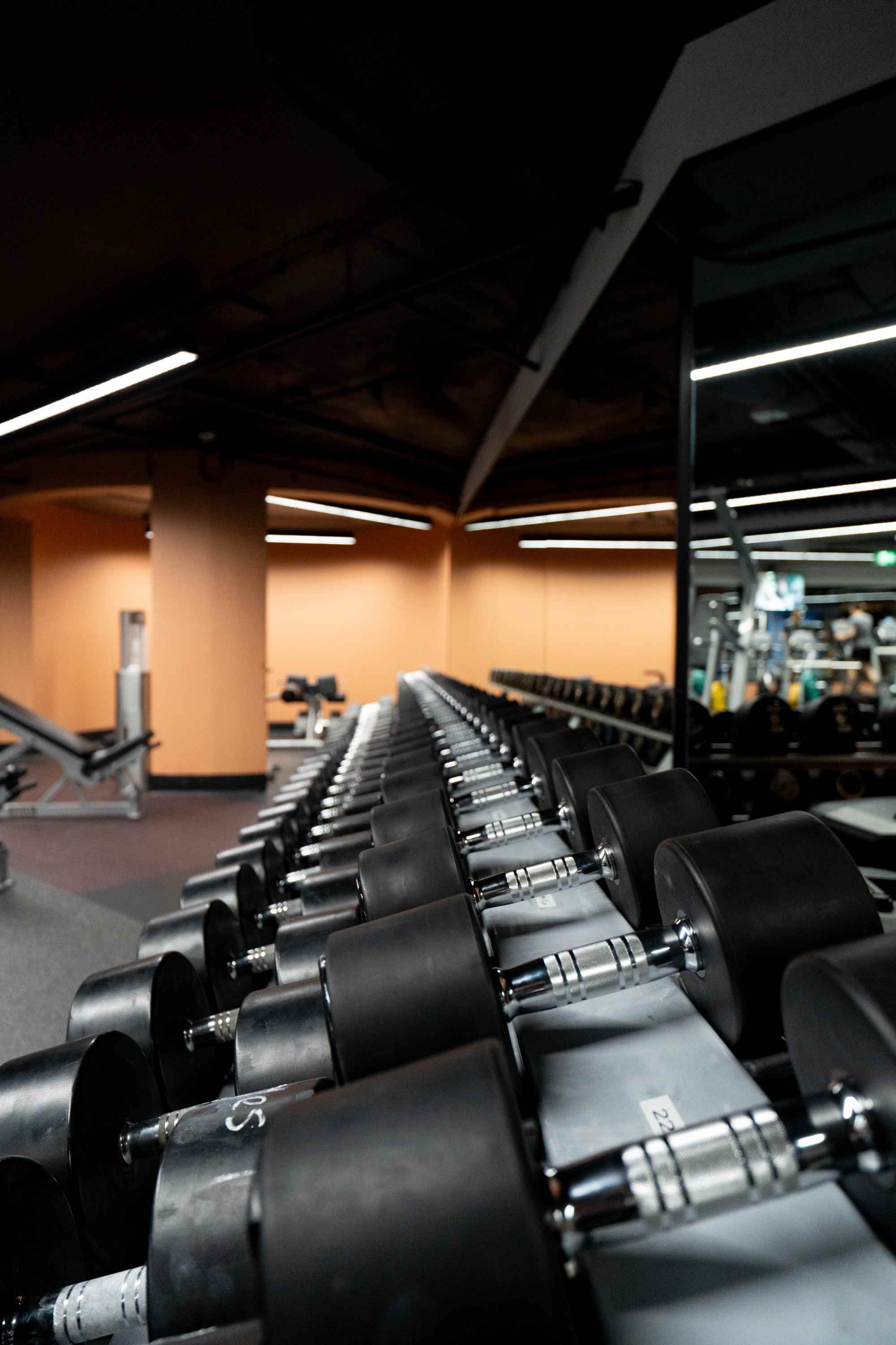 Weight rack at the refurbished Active Hub (RMIT City Campus)