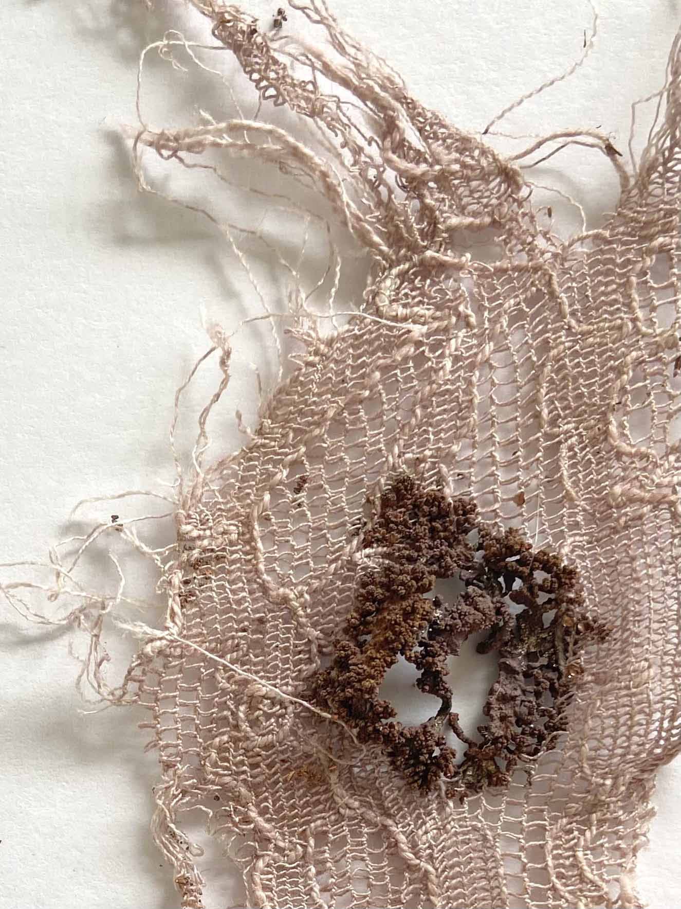 Sarah Lockey, Bachelor of Arts (Fine Art) (Honours) 2023