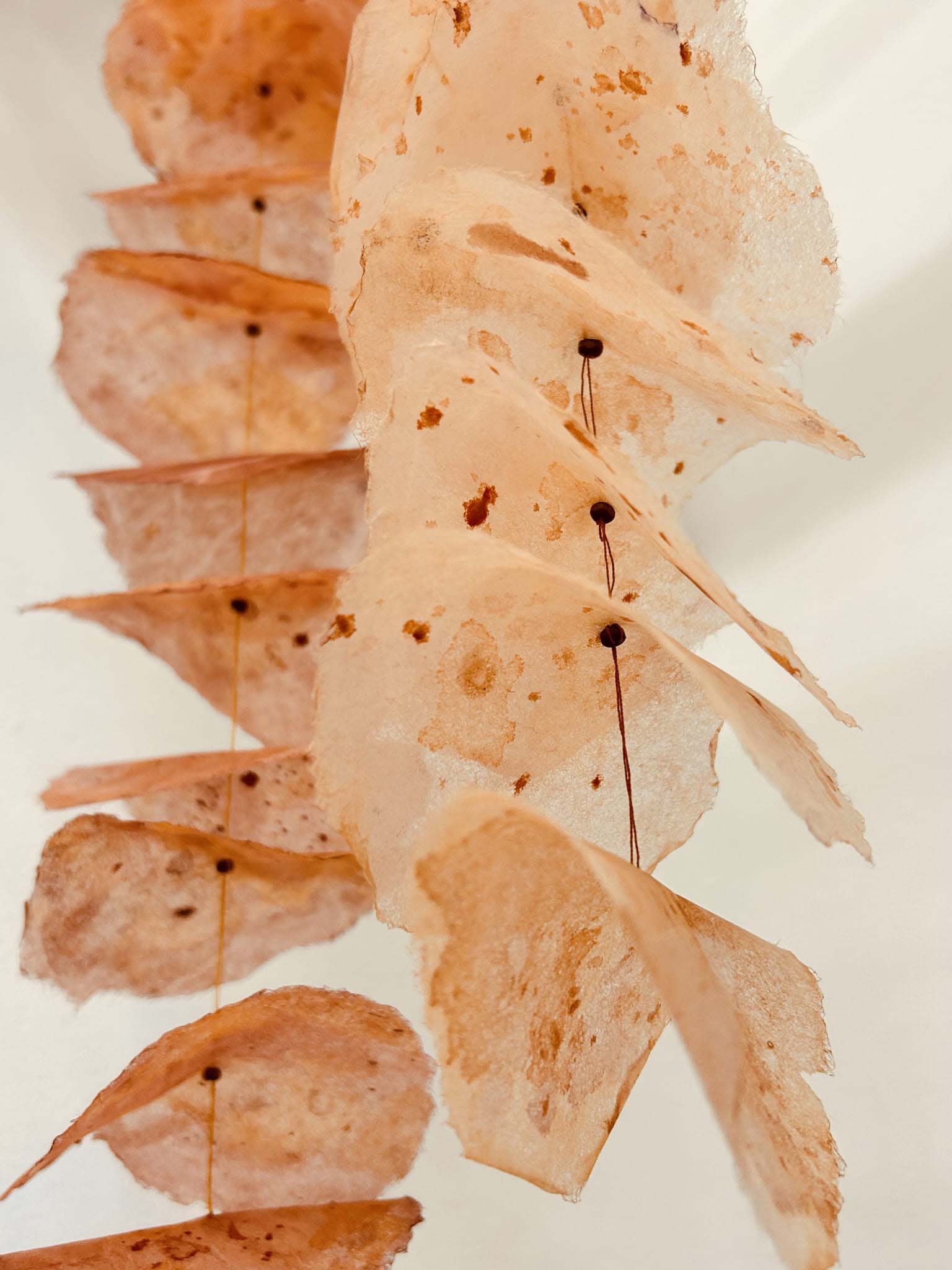 Angela Mezzatesta, Bachelor of Arts (Fine Art) 2023