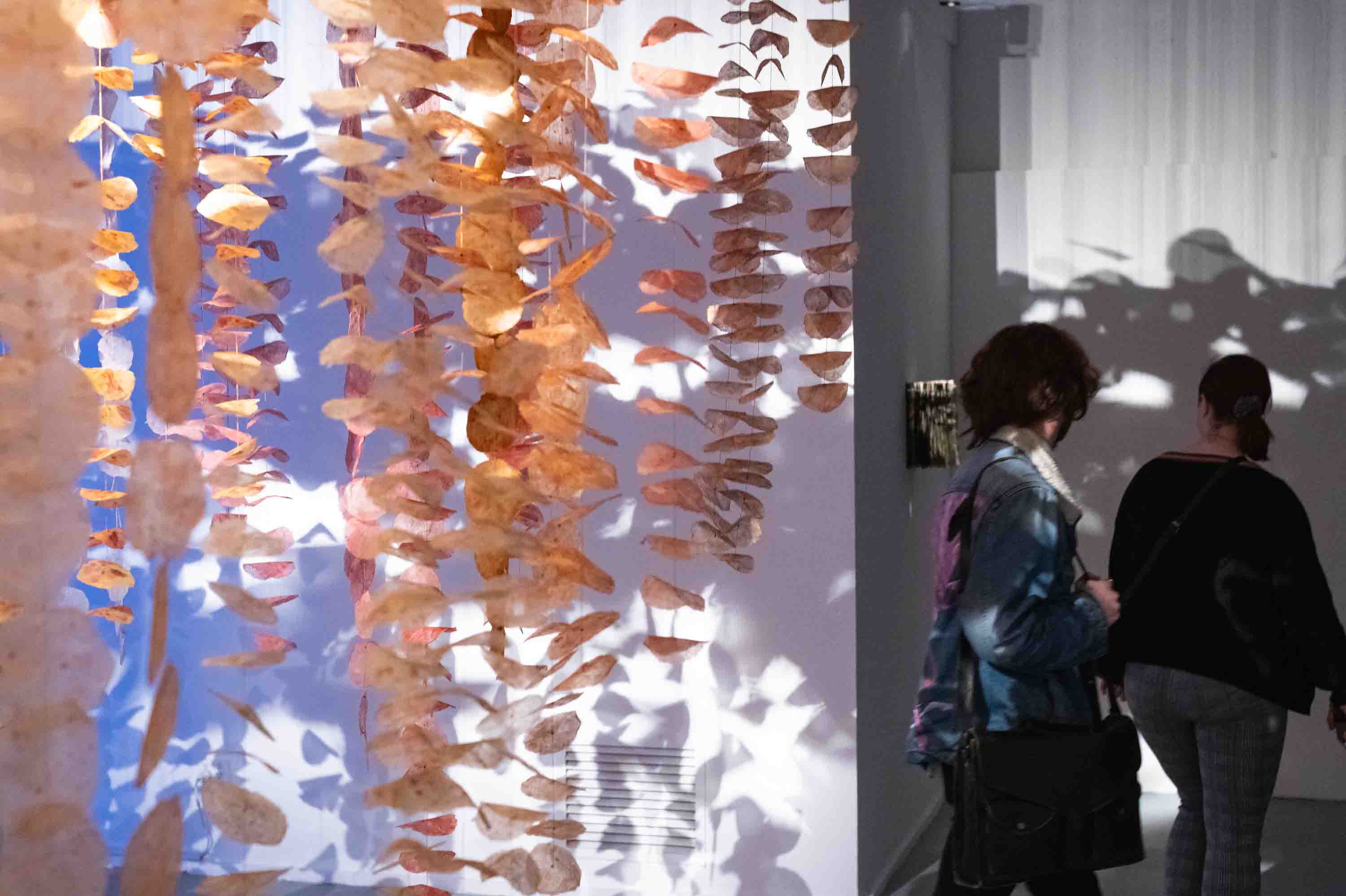 Angela Mezzatesta (Painting), Bachelor of Arts (Fine Art)