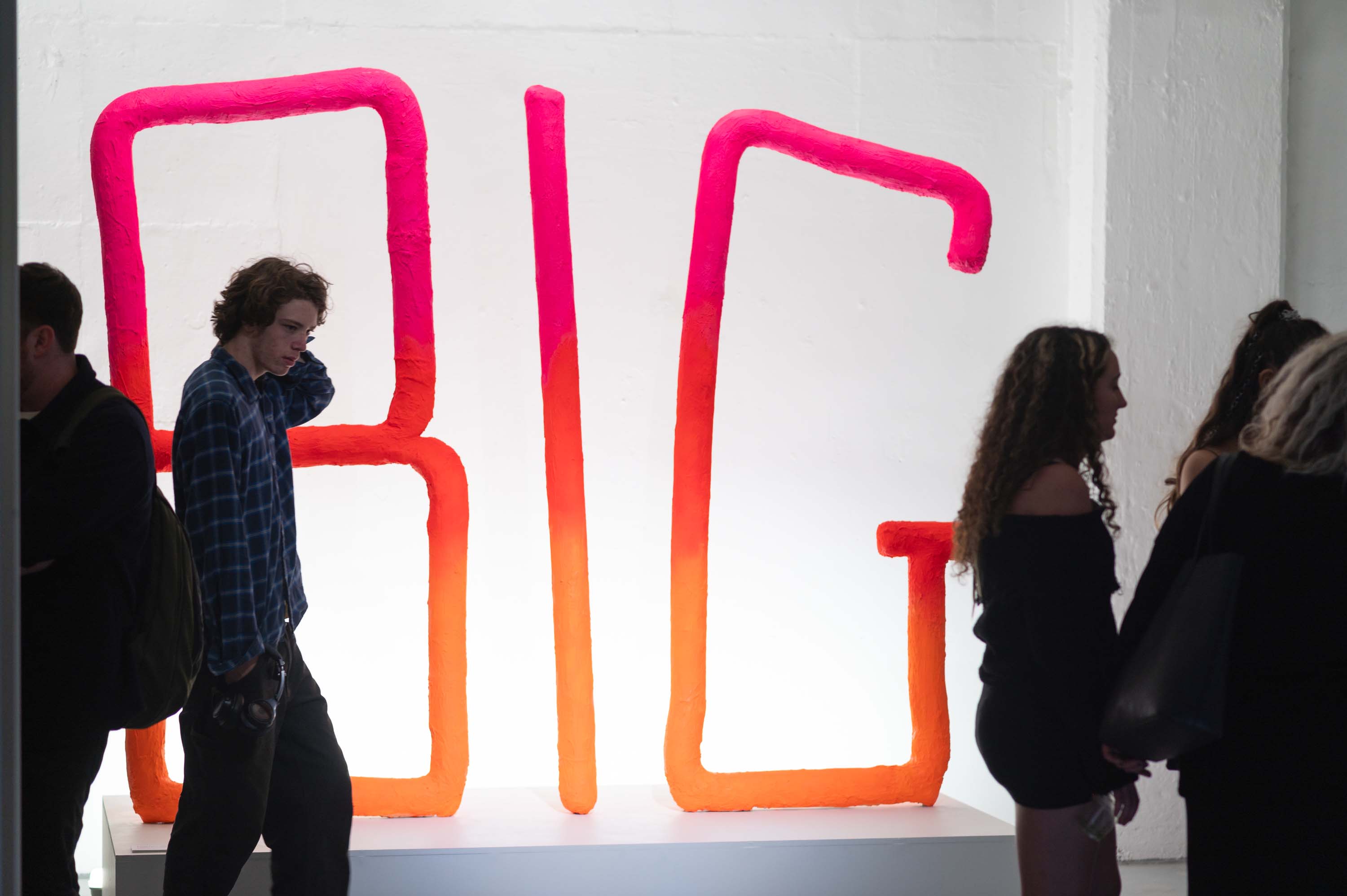 Emmica Lore (Sculpture), Bachelor of Arts (Fine Art)