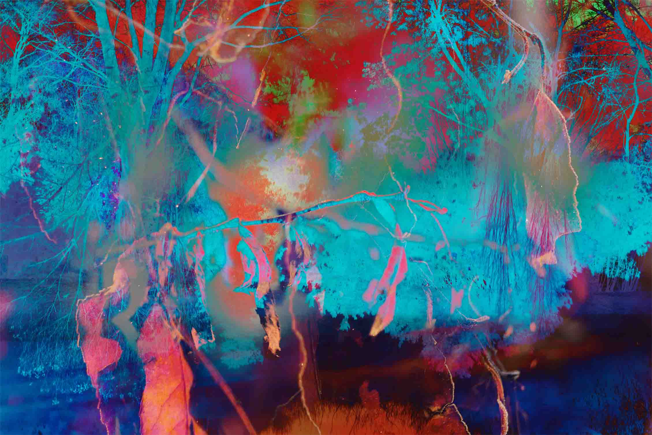 Daniel A’Vard, Master of Fine Art 2023