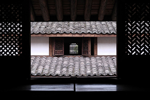 Jingling Wu, Master of Photography 2023