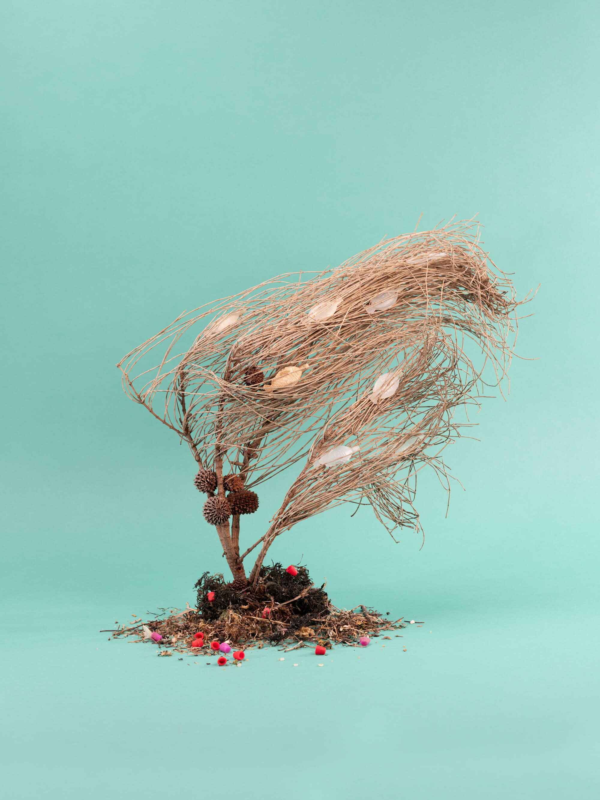 Kim Tobin, Master of Photography 2023