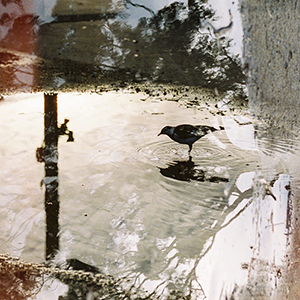 Tammy Wu, Master of Photography 2023