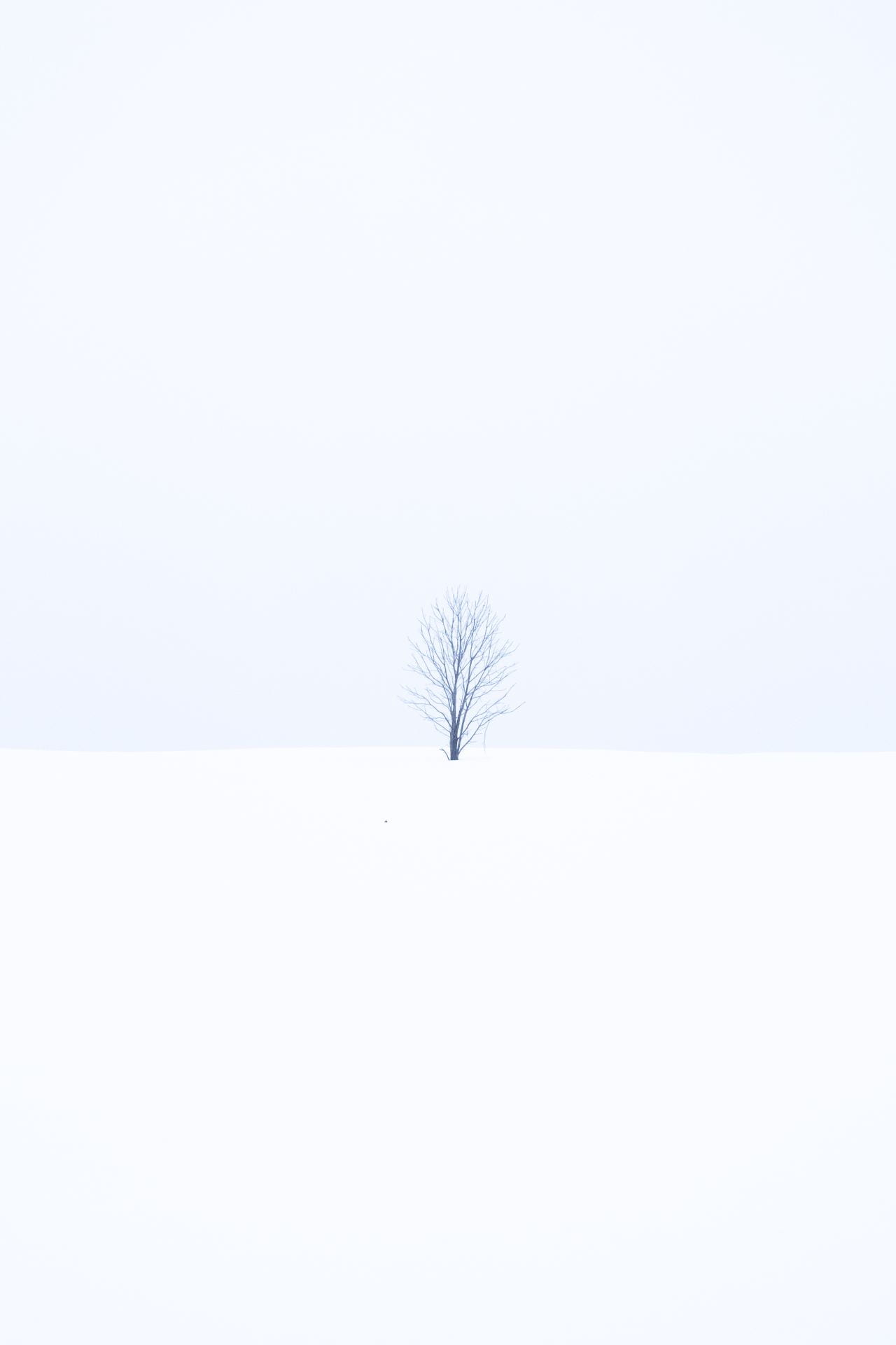 U Hei Chan (Leo), Masters of Photography 2023