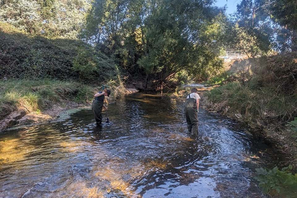 2 persons dressed in overalls in a knee-high river, poking at something in the river with a long plunger-like tool