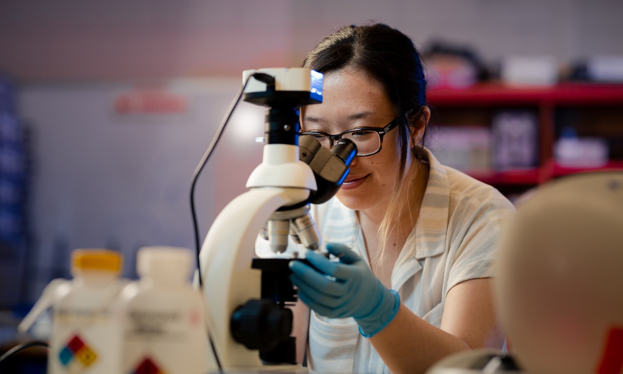 Student looking through microscope in a lab