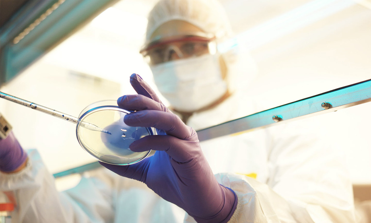 A lab tech uses a pipette on an agar plate.