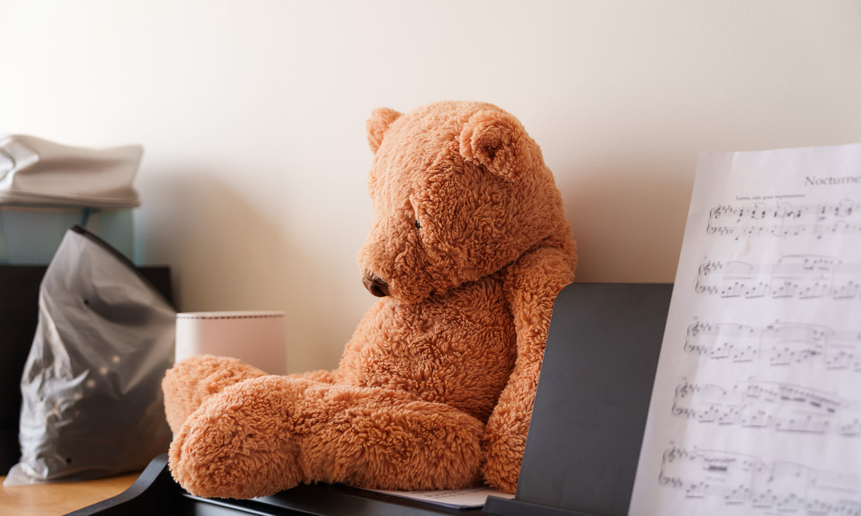 melodys-teddy-1220x732