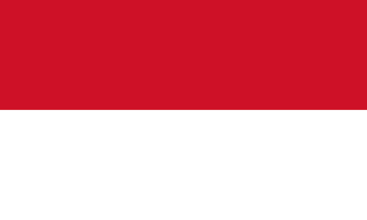 indonesia-flag-large.png