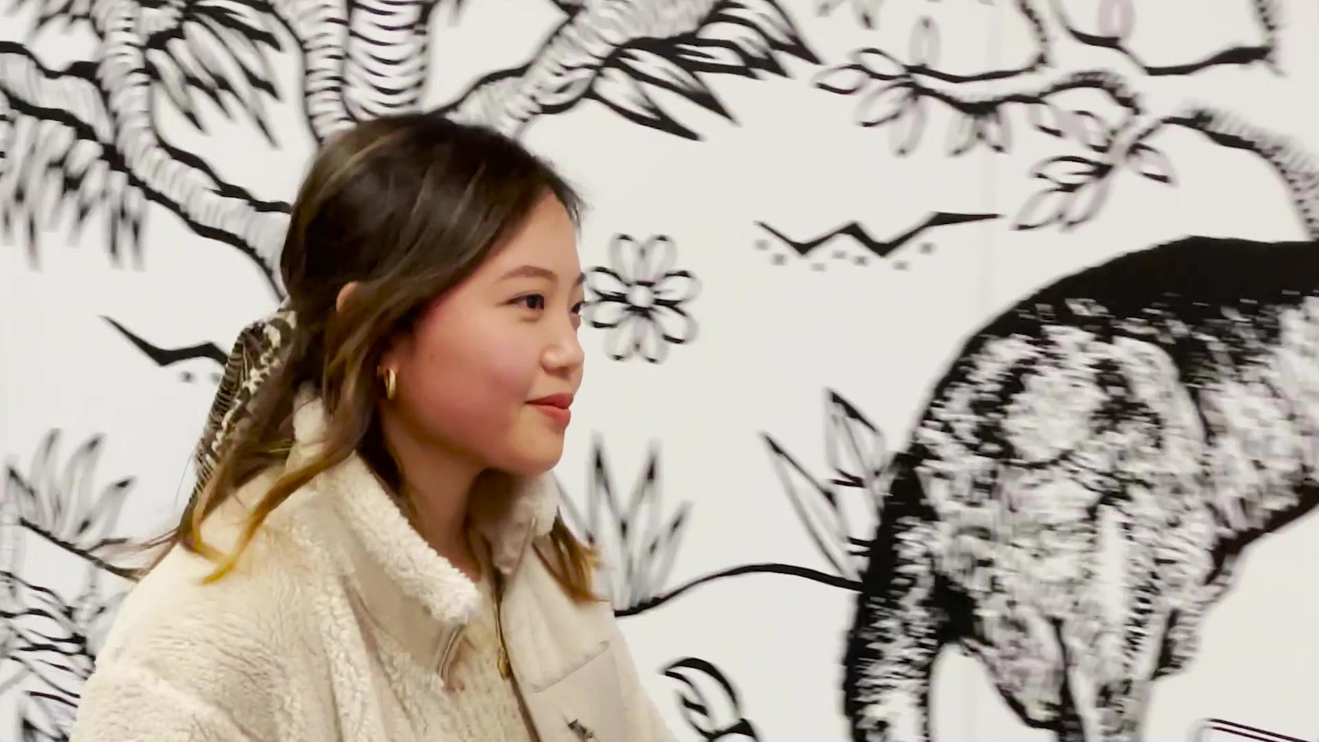 Text And Media Video