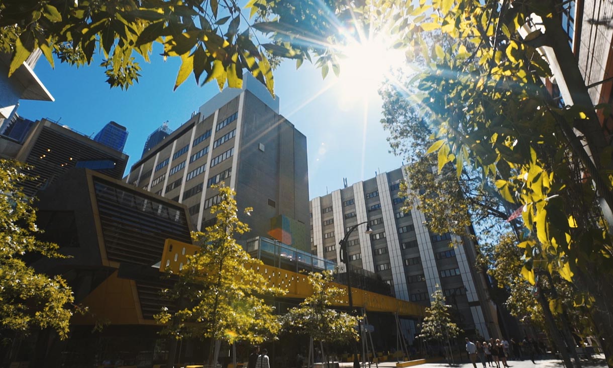 Rmit World Ranking RMIT among world's best in new sustainability rankings - RMIT University