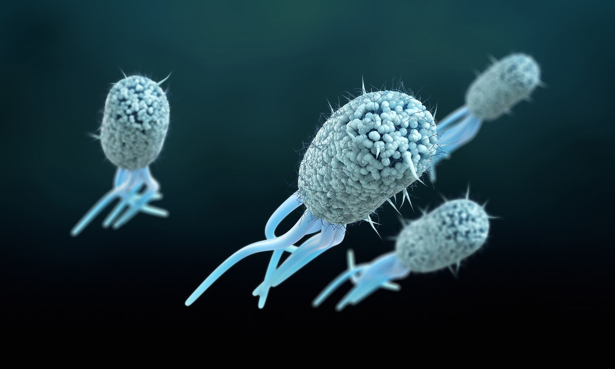 Artificial enzymes use visible light to break down and kill bacteria 