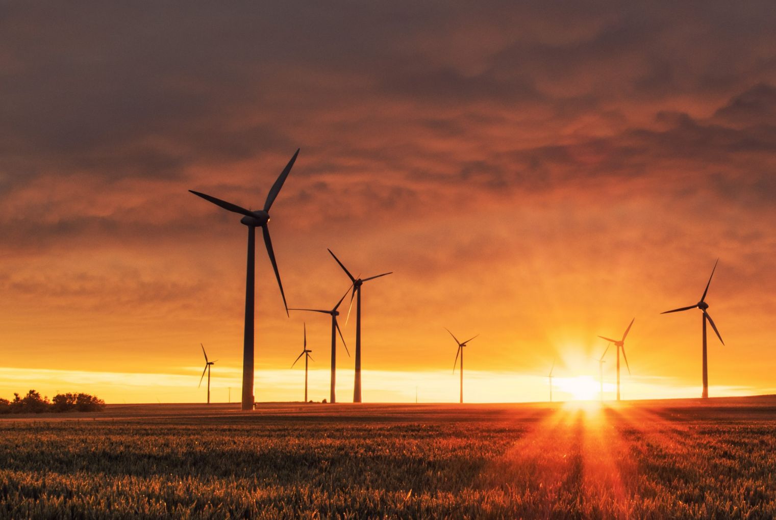 SDG ASX100 reporting.jpg