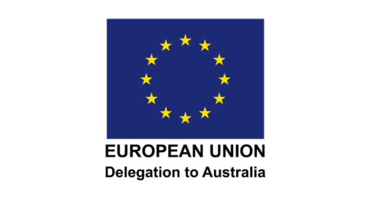 eu delegation logo