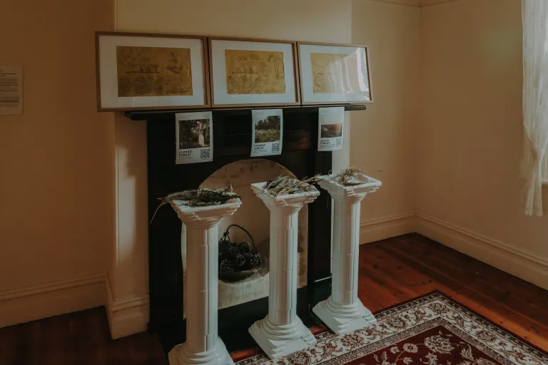 A Future Forest for Western Melbourne, Digital Art (Virtual Reality), 2023.⁠