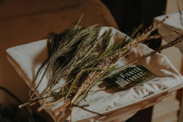 A Future Forest for Western Melbourne, Digital Art (Virtual Reality), 2023.⁠