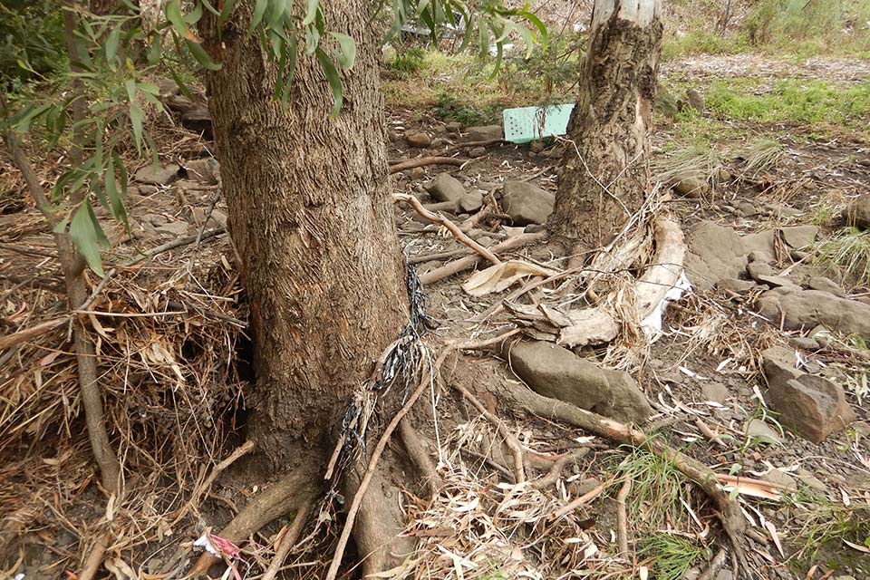 A waterway with plants next to it