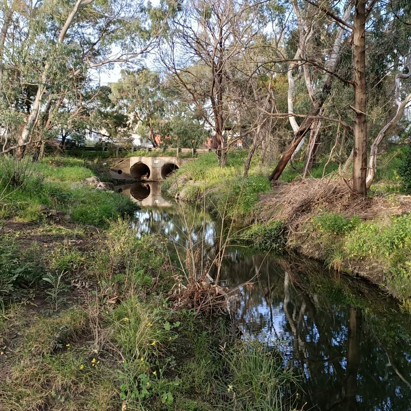 Photo of Stony Creek. In the background is a raised road. Under the road is concrete with two circles cut out to allow the creek to flow through. River runs from the bottom right of the photo up to the middle. Green grass with intermittent patches of dirt take up the rest of the photo, as well as trees. Most of the trees are barren branches, with some trees showing dark green leafage.