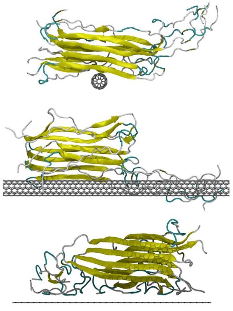 Atomistic model of an amyloid fibril interacting with a fullerene, nanotube and graphene surfaces.