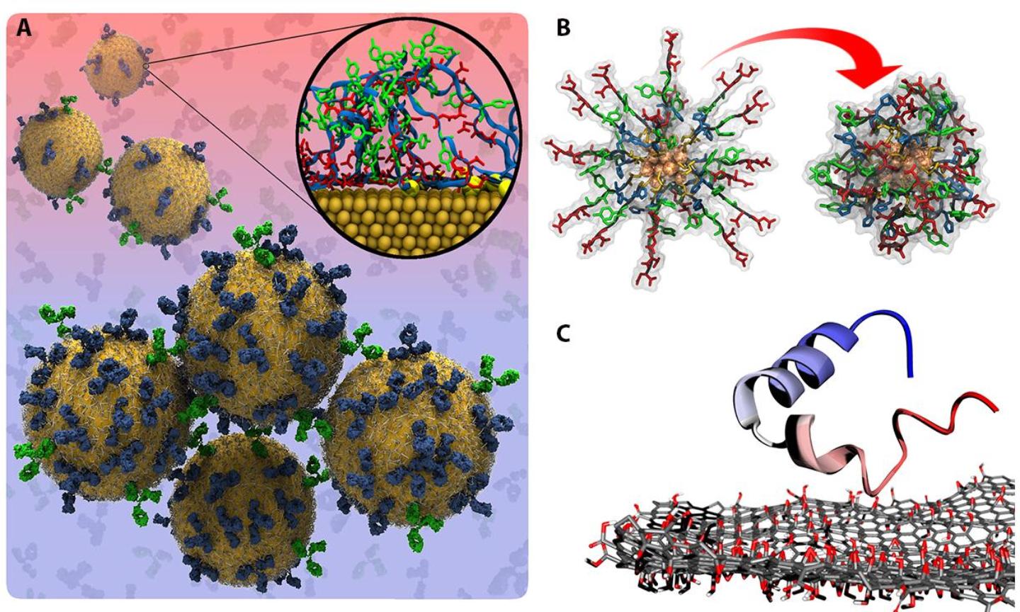 A) Gold NP colourimetric sensor design [see ref. 1 and 4]; B) Fluorescent gold NP sensor; C) Graphene oxide for amyloid inhibition.