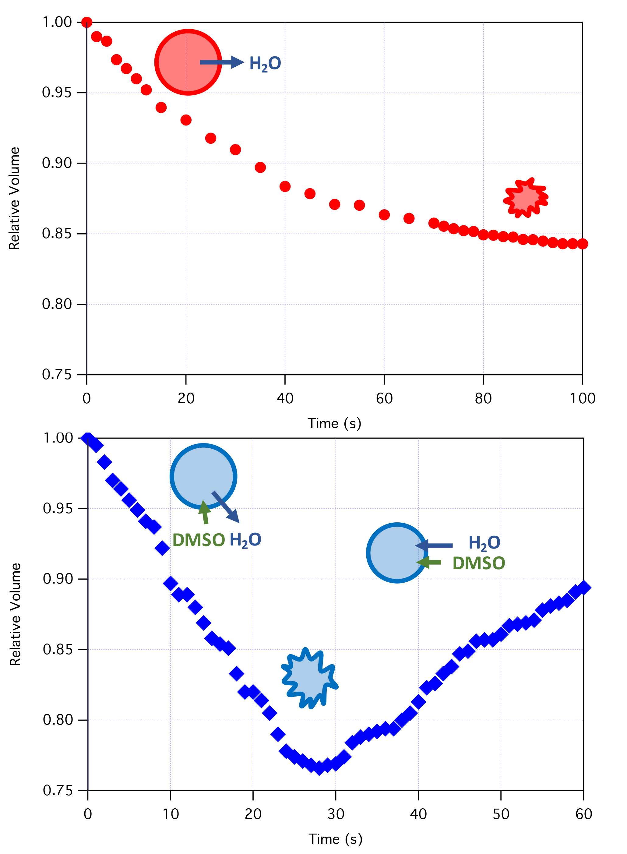 Figure 1. Volume response of cells upon the addition of non-penetrating (top) or penetrating (bottom) solutes.  