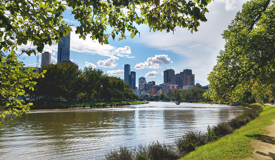 View of Melbourne CBD in background, with Yarra River and green leafy trees in foreground