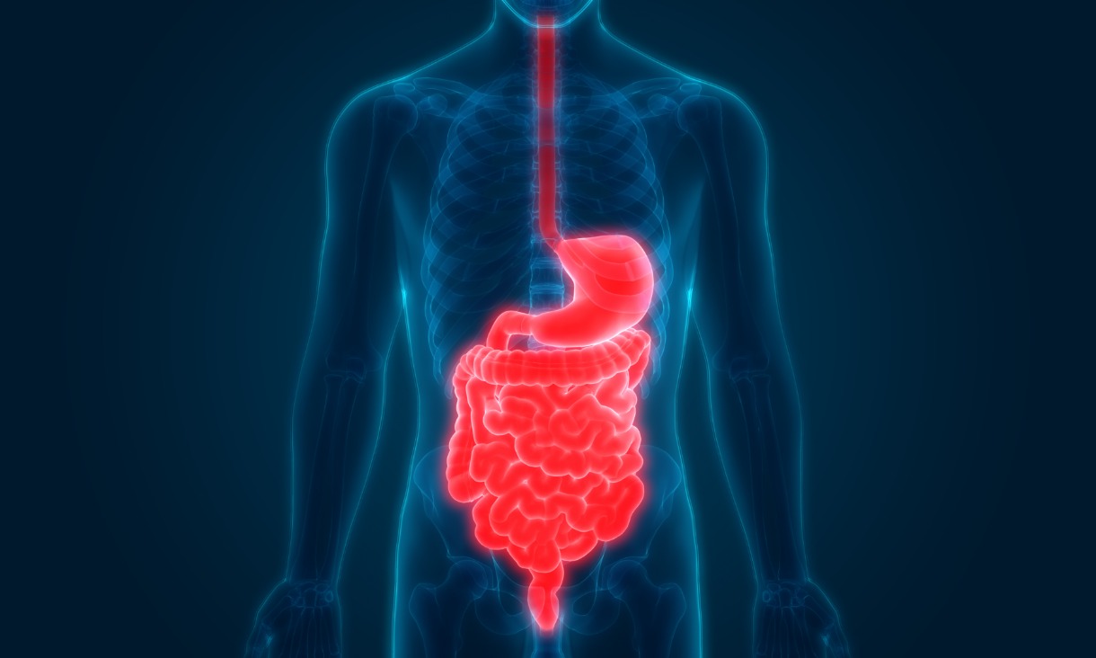 Gut_3D_getty-1220_x_732.jpg