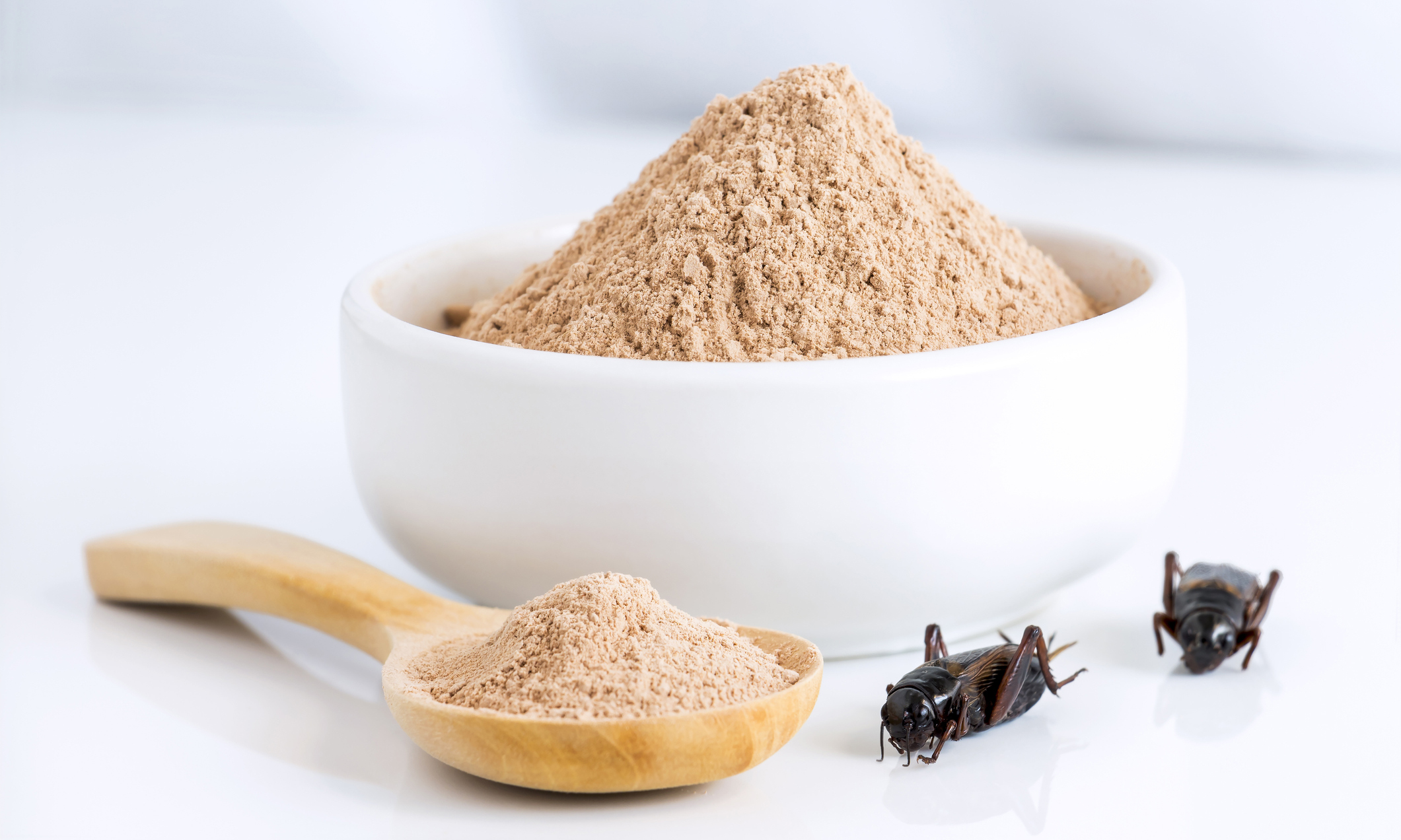 news-nutrition-future-bug-powder-1220px.jpg