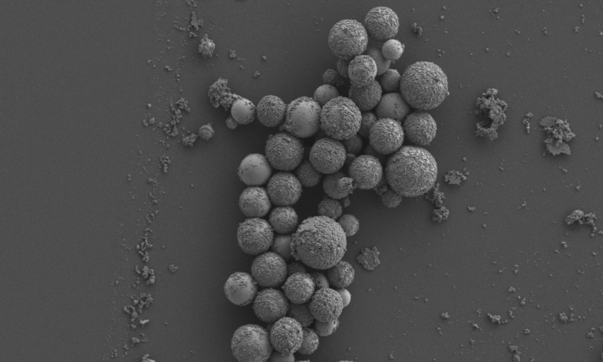 Precision-engineered magnetic liquid metal nanoparticles, which change shape and develop sharp edges after exposure to a magnetic field (image magnified 1,000 times).