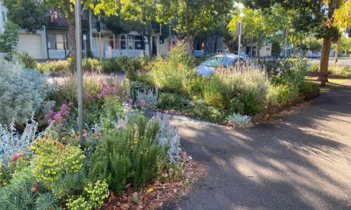 Urban street garden.